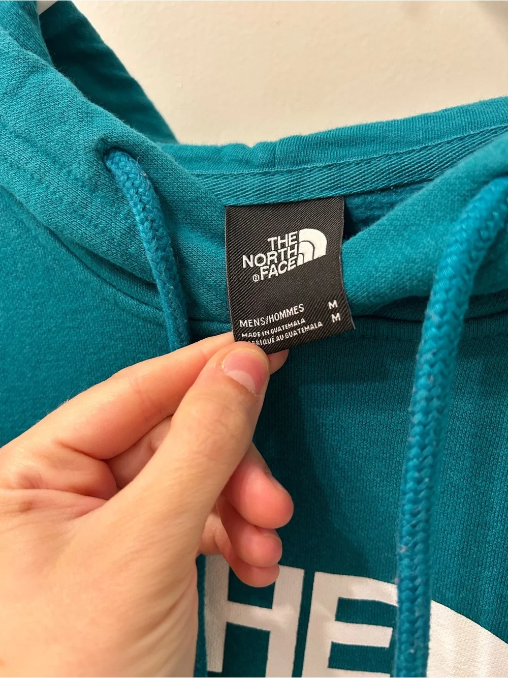 The North Face Unisex Teal/Deep Nori Logo Pullover Hoodie